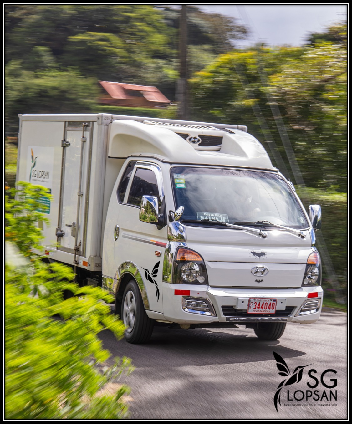 SG LOPSAN SRL - Galería 41